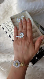 سرویس کامل بابونه 🌼